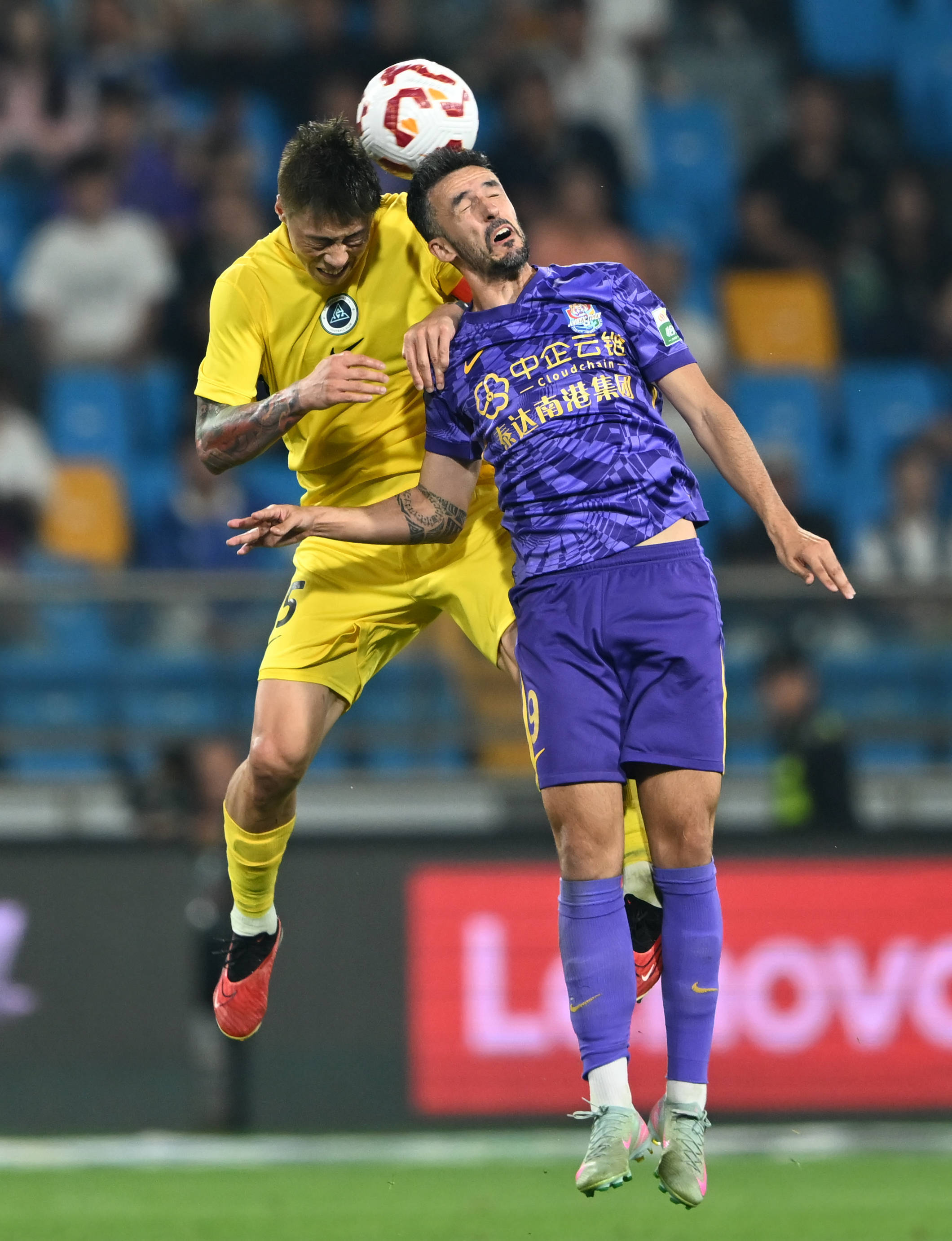 光谱的回应 光谱的回应